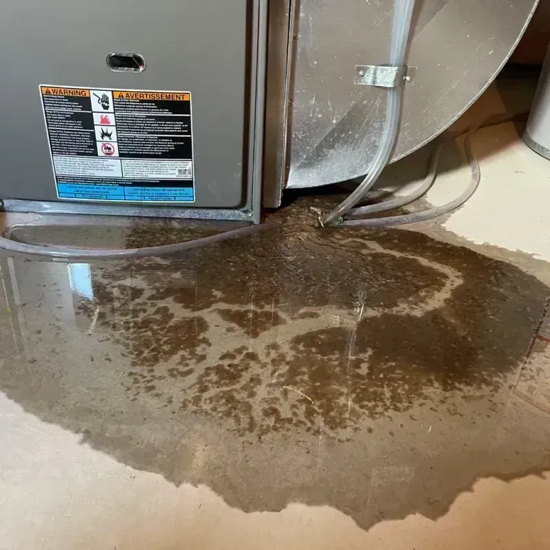 Appliance Leak Cleanup in Cooper County, MO